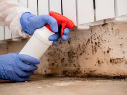 Best Industrial Mold Remediation  in East Peoria, IL